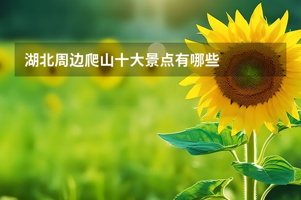 湖北周边爬山十大景点有哪些