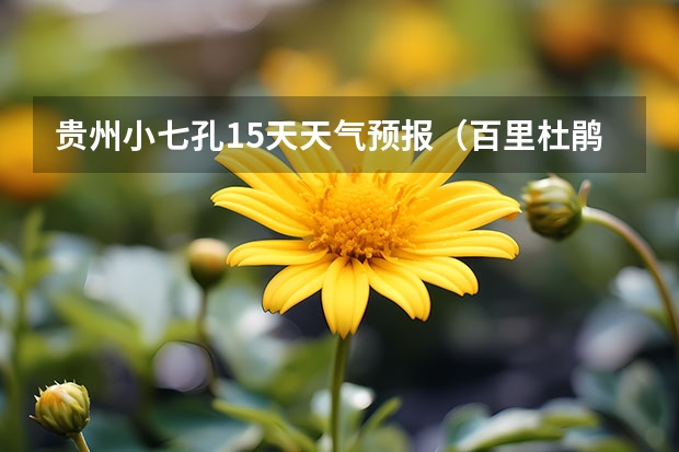 贵州小七孔15天天气预报（百里杜鹃天气预报15天查询）