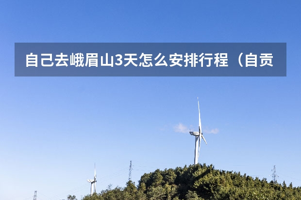 自己去峨眉山3天怎么安排行程（自贡的）