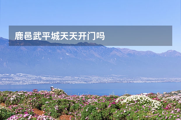 鹿邑武平城天天开门吗
