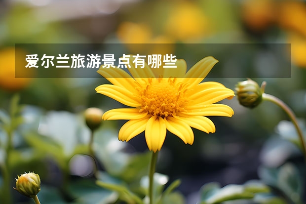 爱尔兰旅游景点有哪些