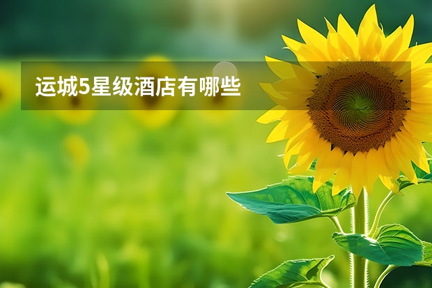 运城5星级酒店有哪些