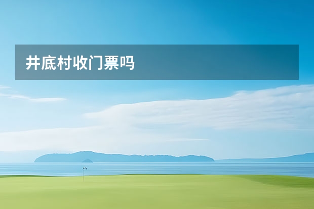 井底村收门票吗