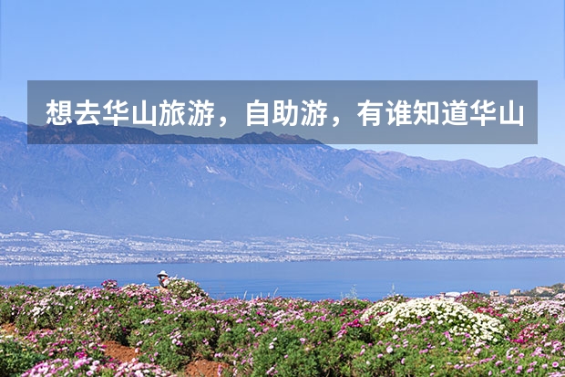 想去华山旅游，自助游，有谁知道华山山顶住宿条件跟价格 我想去华山旅游，谁给点建议啊，急！！