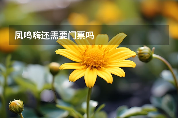 凤鸣嗨还需要门票吗