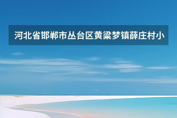 河北省邯郸市丛台区黄粱梦镇薛庄村小学有对口中学吗