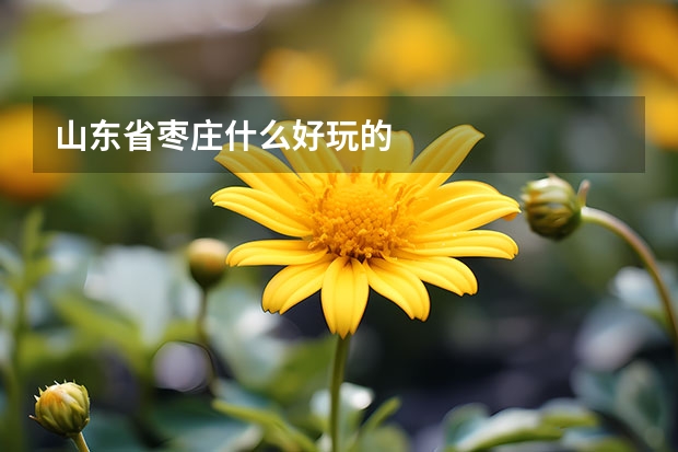 山东省枣庄什么好玩的