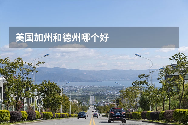 美国加州和德州哪个好