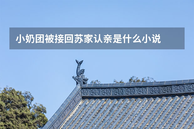 小奶团被接回苏家认亲是什么小说