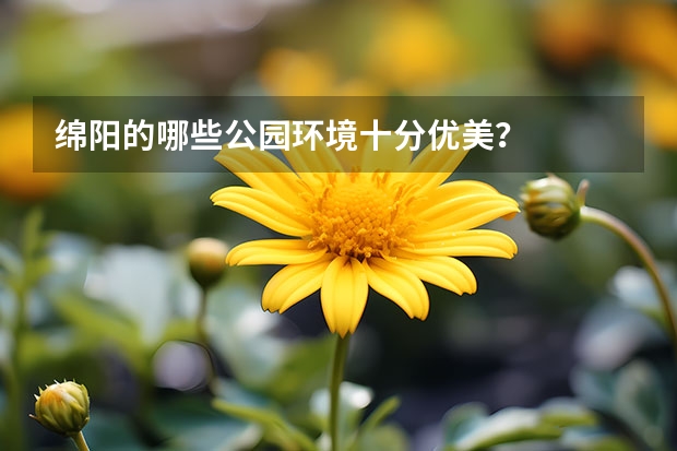 绵阳的哪些公园环境十分优美？