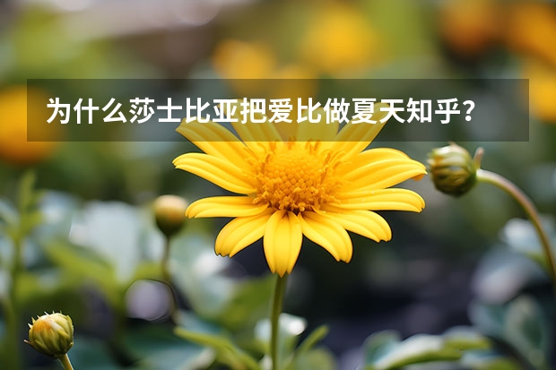为什么莎士比亚把爱比做夏天知乎？