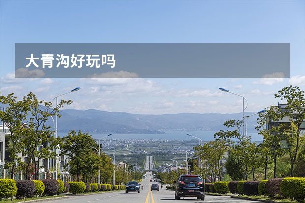 大青沟好玩吗