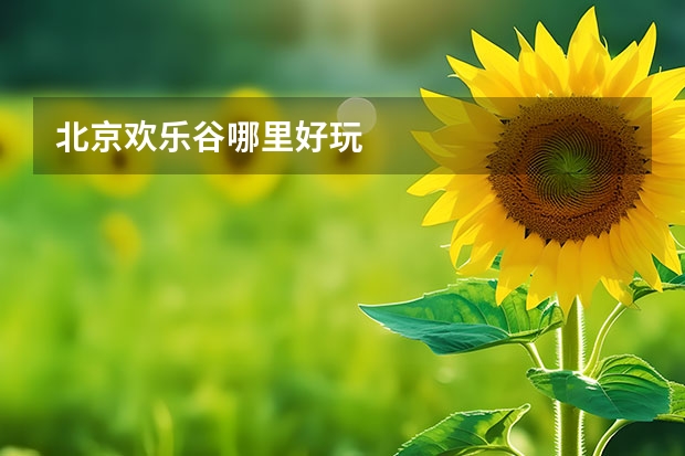 北京欢乐谷哪里好玩