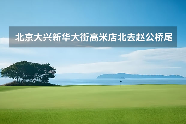 北京大兴新华大街高米店北去赵公桥尾货市场有公交车吗