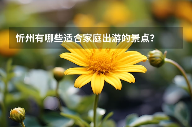 忻州有哪些适合家庭出游的景点？