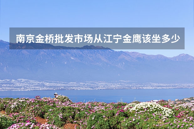 南京金桥批发市场从江宁金鹰该坐多少路公交车