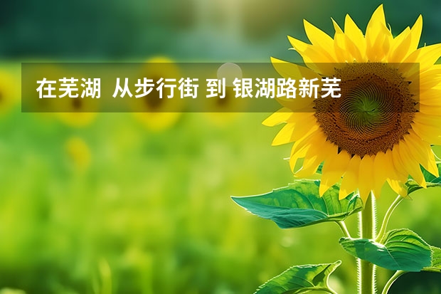 在芜湖  从步行街 到 银湖路新芜区法院 怎么坐公交？