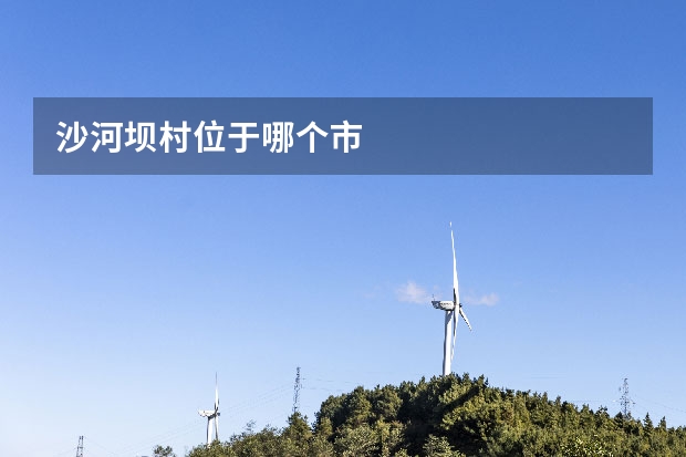 沙河坝村位于哪个市