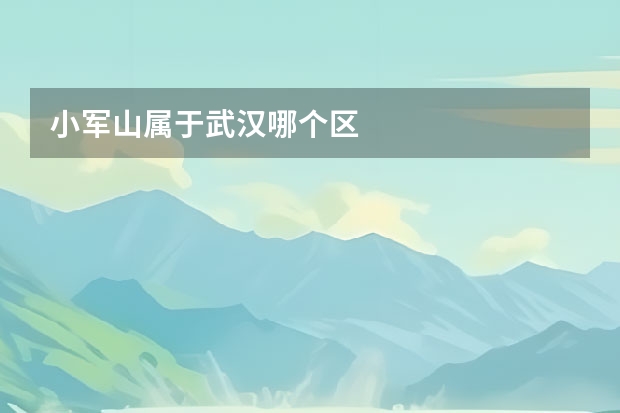 小军山属于武汉哪个区