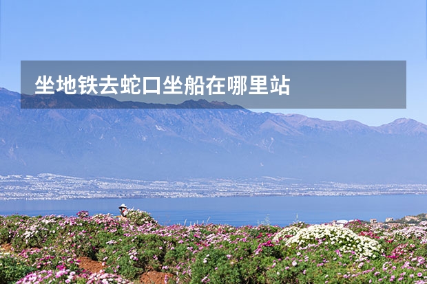坐地铁去蛇口坐船在哪里站
