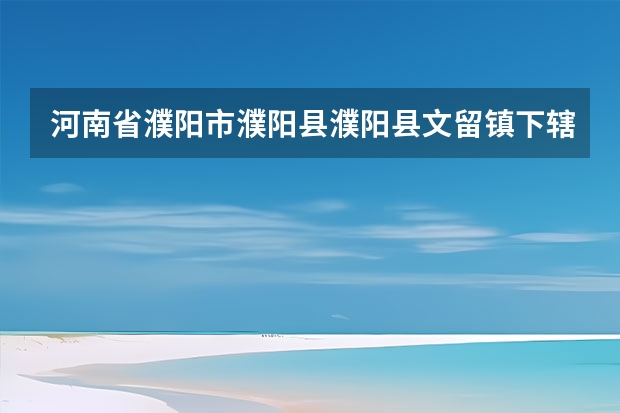 河南省濮阳市濮阳县濮阳县文留镇下辖村委会有哪些？