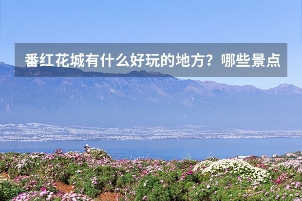 番红花城有什么好玩的地方？哪些景点必去？