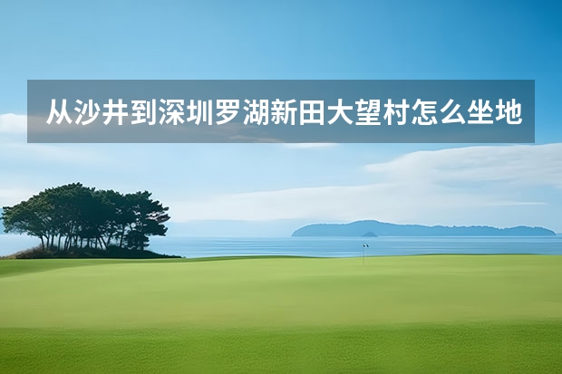 从沙井到深圳罗湖新田大望村怎么坐地铁