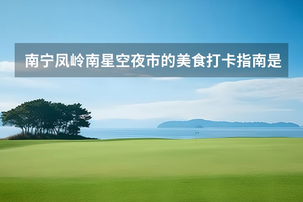 南宁凤岭南星空夜市的美食打卡指南是什么？