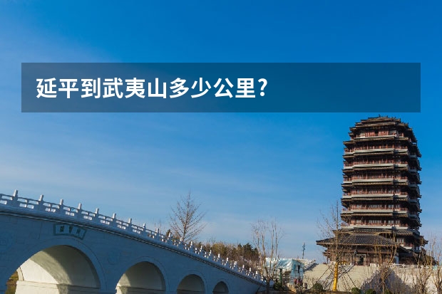 延平到武夷山多少公里?