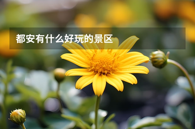 都安有什么好玩的景区