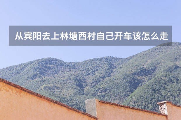 从宾阳去上林塘西村自己开车该怎么走